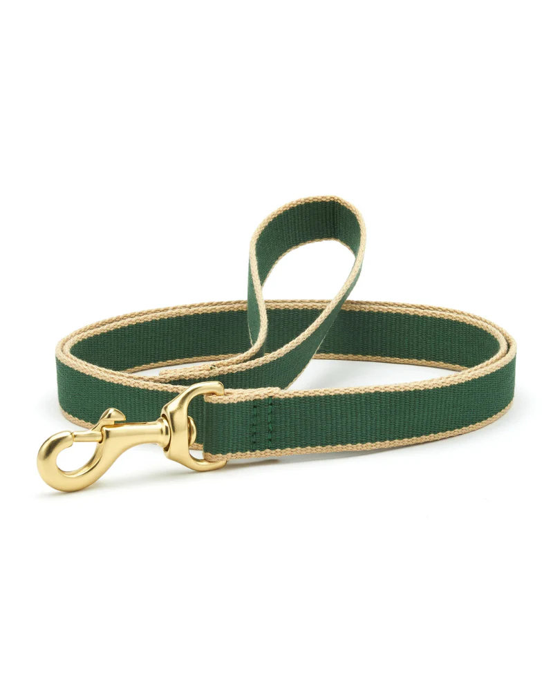 Color Market Dog Leash in Forest & Tan (Made in the USA) - Image 2