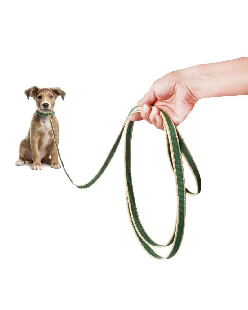 Color Market Dog Training Leash in Forest & Tan (Made in the USA)