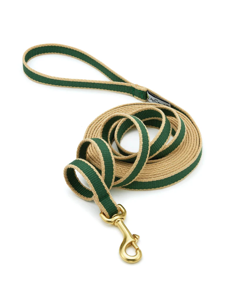 Color Market Dog Training Leash in Forest & Tan (Made in the USA) - Image 2