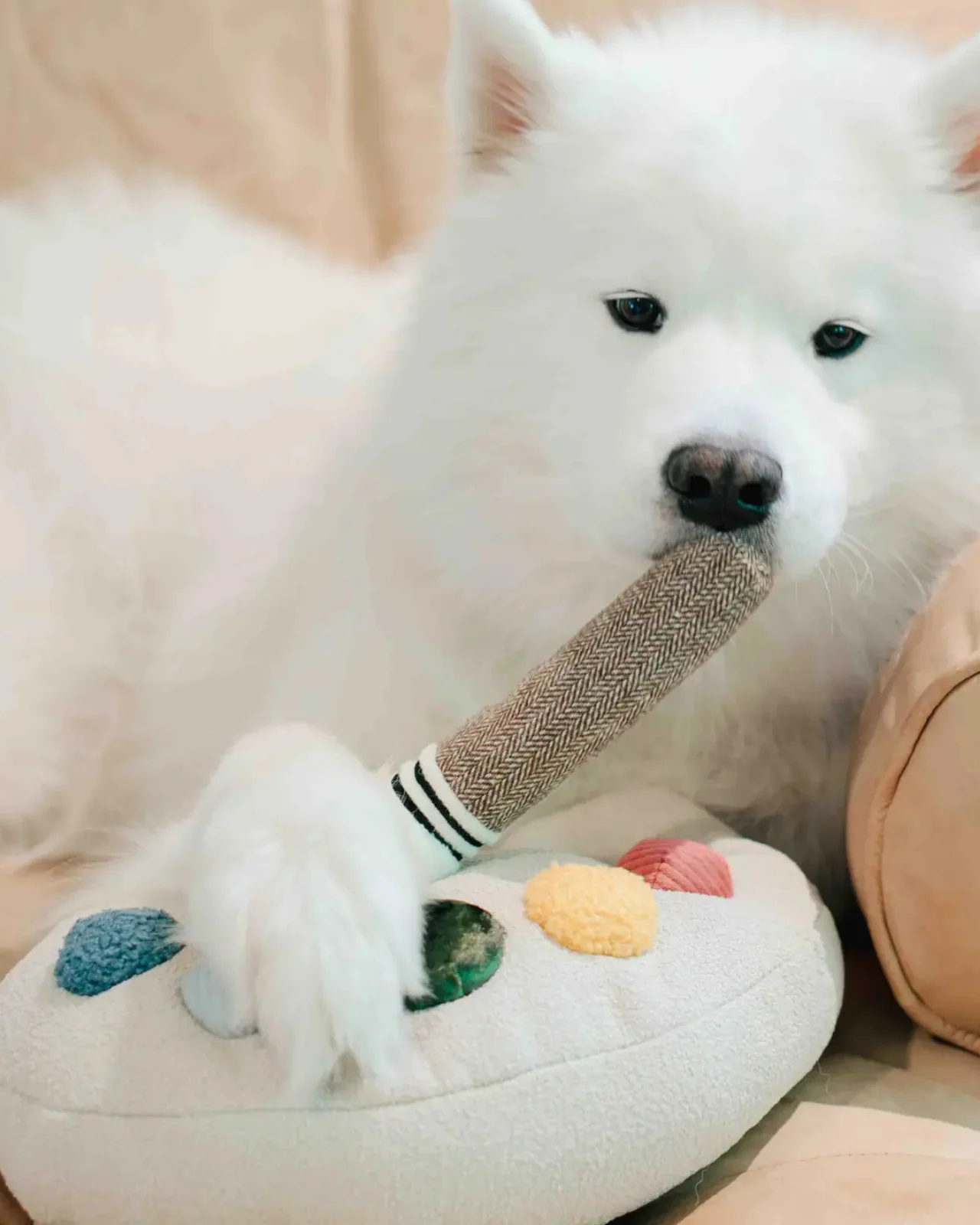 Color Palette Set Dog Enrichment Toy (FINAL SALE) - Image 2