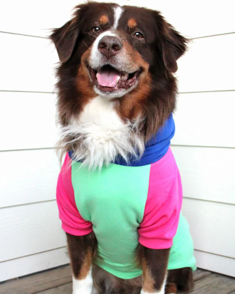 Colorblock Dog Hoodie in Bubblegum + Mint (FINAL SALE) - Image 4