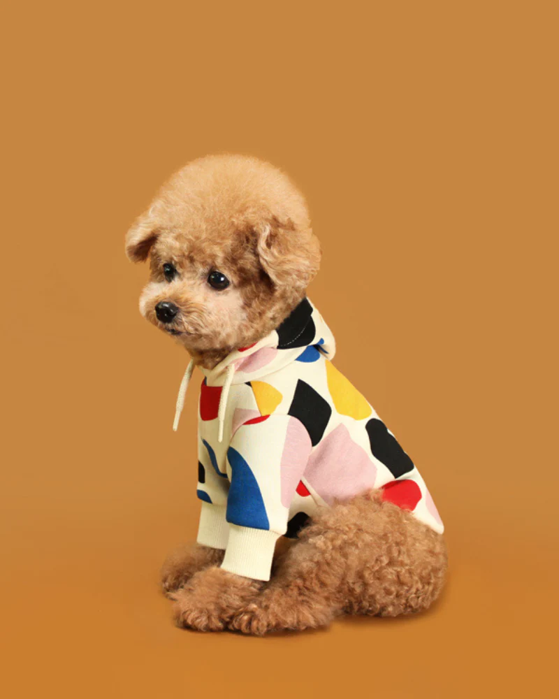 Colorful Design Dog Hoodie in Ivory - Image 2