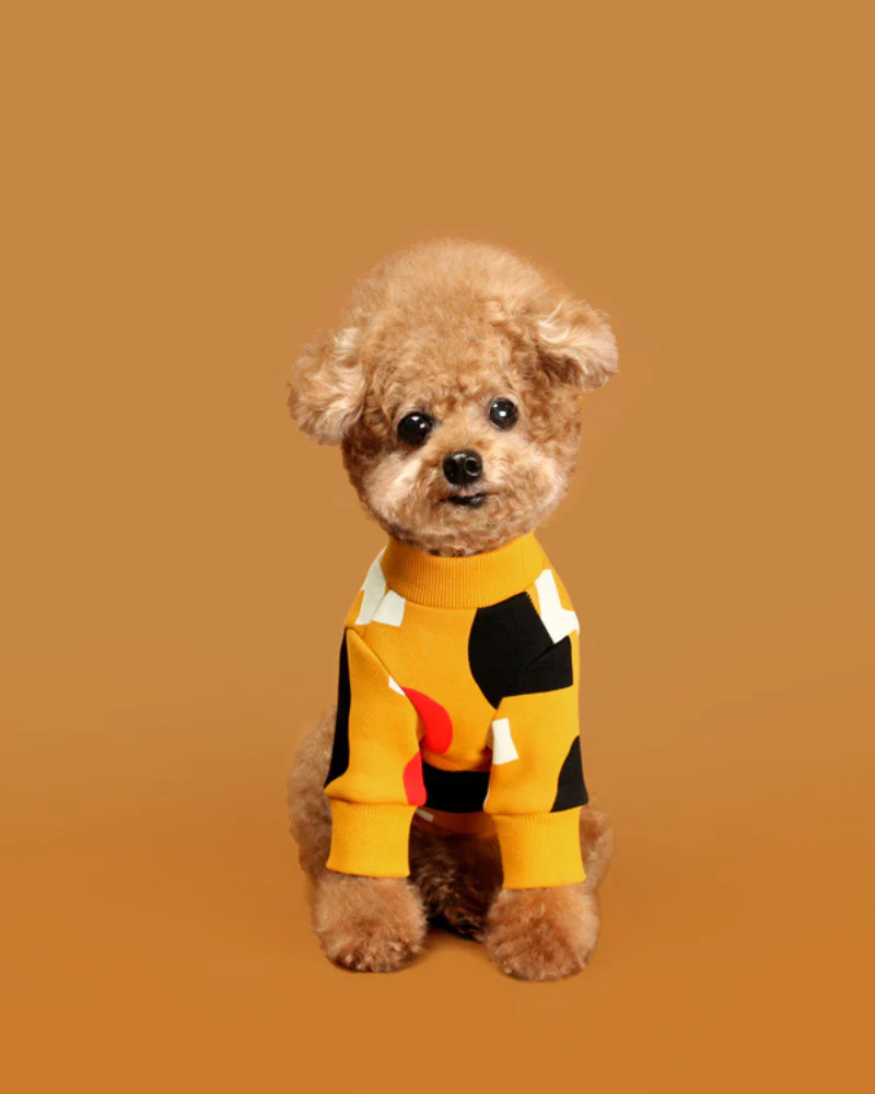 Colorful Design Dog Sweatshirt in Mustard Yellow (FINAL SALE)