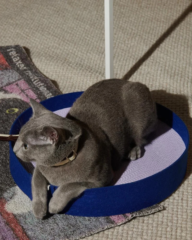 Colorful Round Cat Scratcher - Image 4