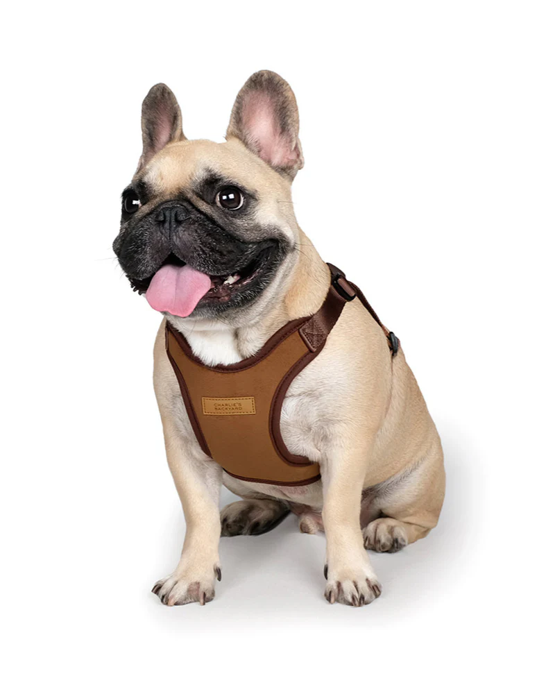 Comfort Dog Harness in Tan - Image 3