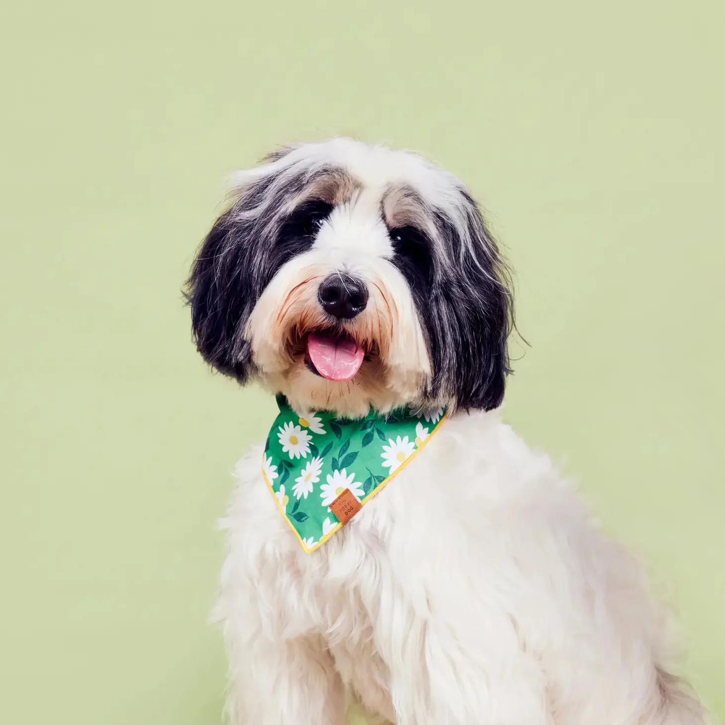 Coming Up Daisies Dog Bandana (Made in the USA) - Image 3
