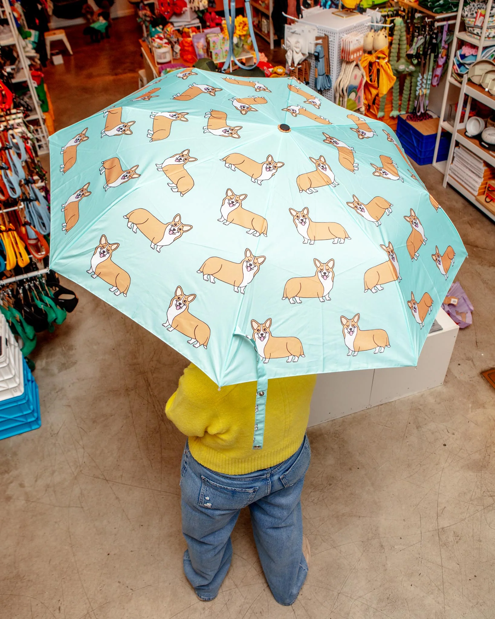 Compact Eco-Friendly Umbrella (in Doxie, Frenchie, Corgi, Matisse, Arty Cats) - Image 26