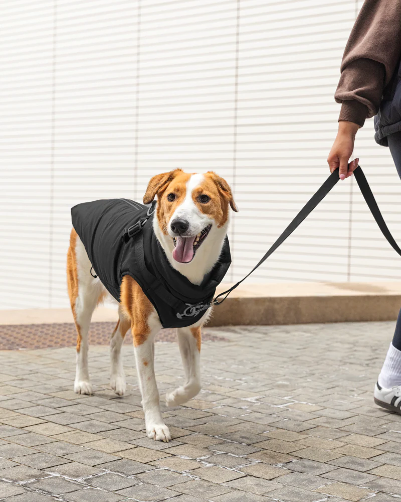 Complete Control Harness Winter Dog Jacket - Image 3