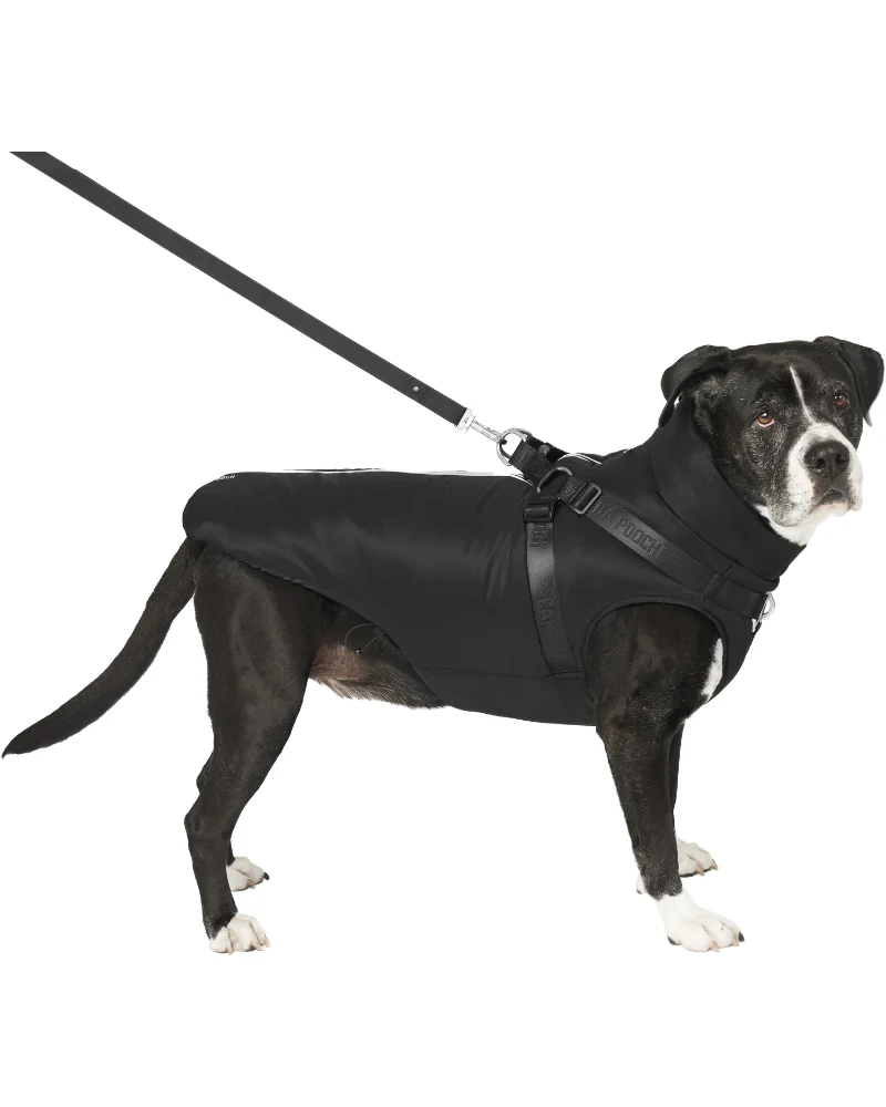 Complete Control Harness Winter Dog Jacket - Image 5