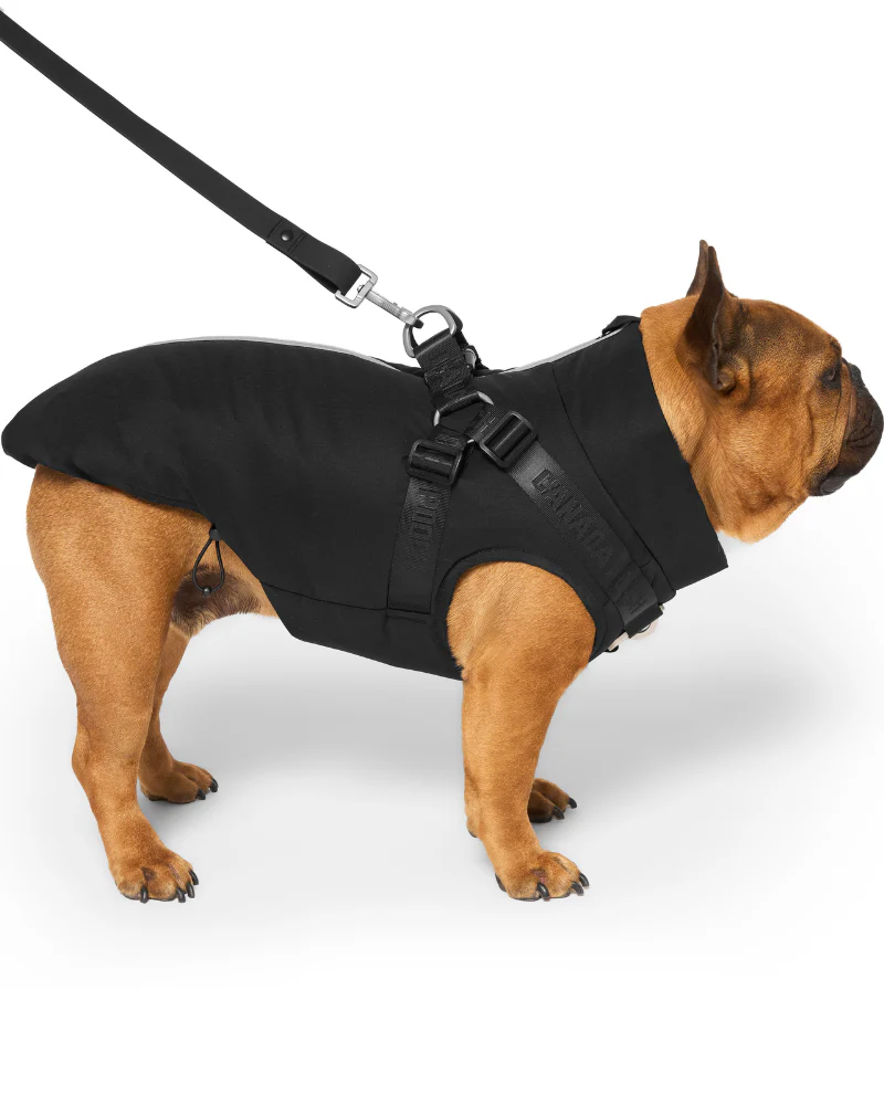 Complete Control Harness Winter Dog Jacket - Image 6