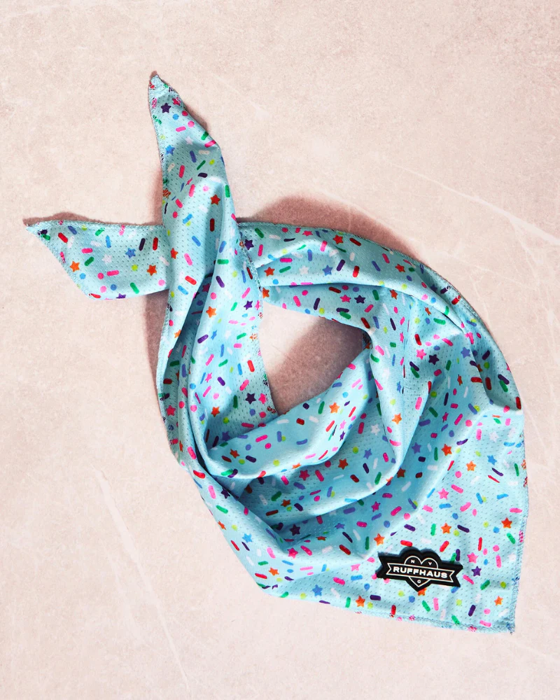 Confetti Dog Cooling Bandana (FINAL SALE)