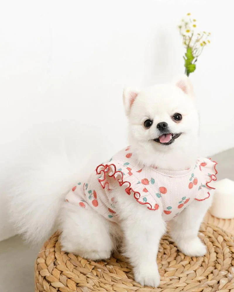 Cool Cherry Shoulder Frill Dog Shirt (FINAL SALE) - Image 3