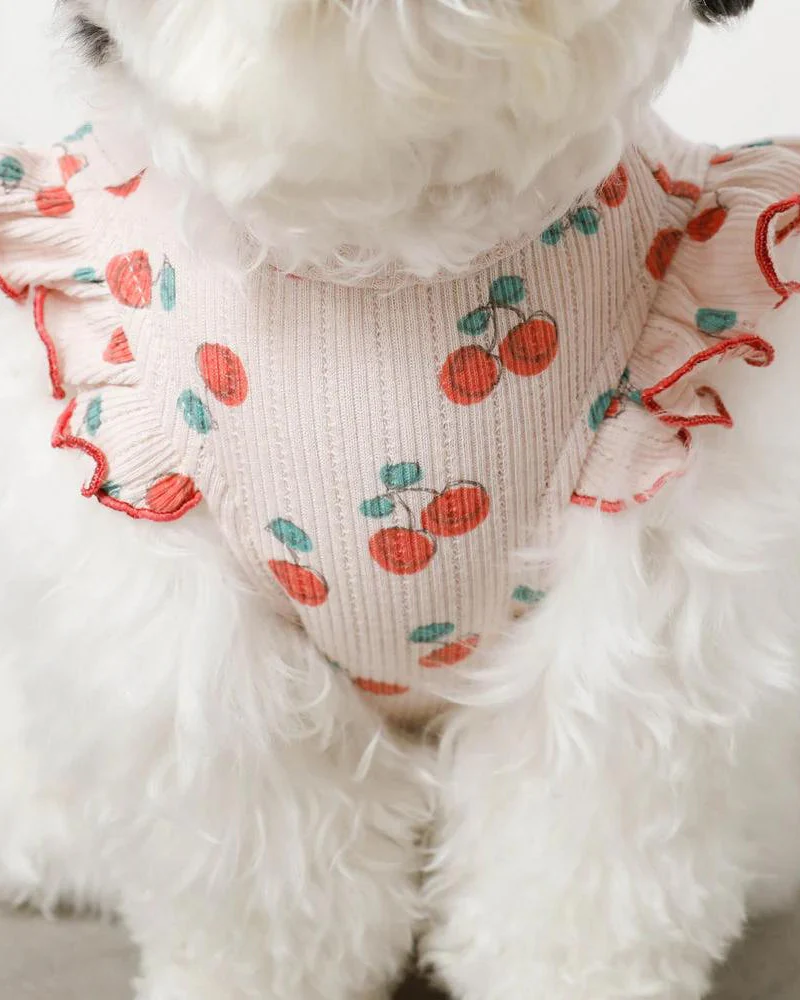 Cool Cherry Shoulder Frill Dog Shirt (FINAL SALE) - Image 5