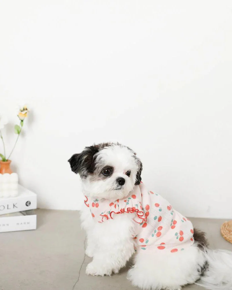 Cool Cherry Shoulder Frill Dog Shirt (FINAL SALE) - Image 7