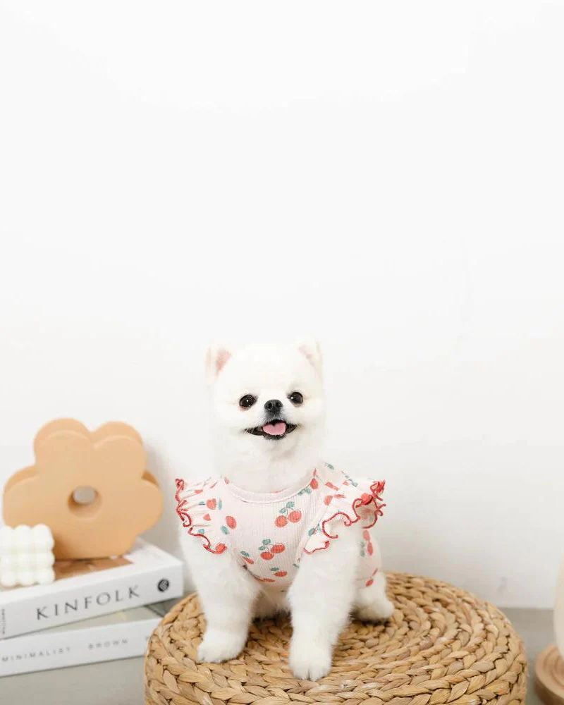 Cool Cherry Shoulder Frill Dog Shirt (FINAL SALE) - Image 8