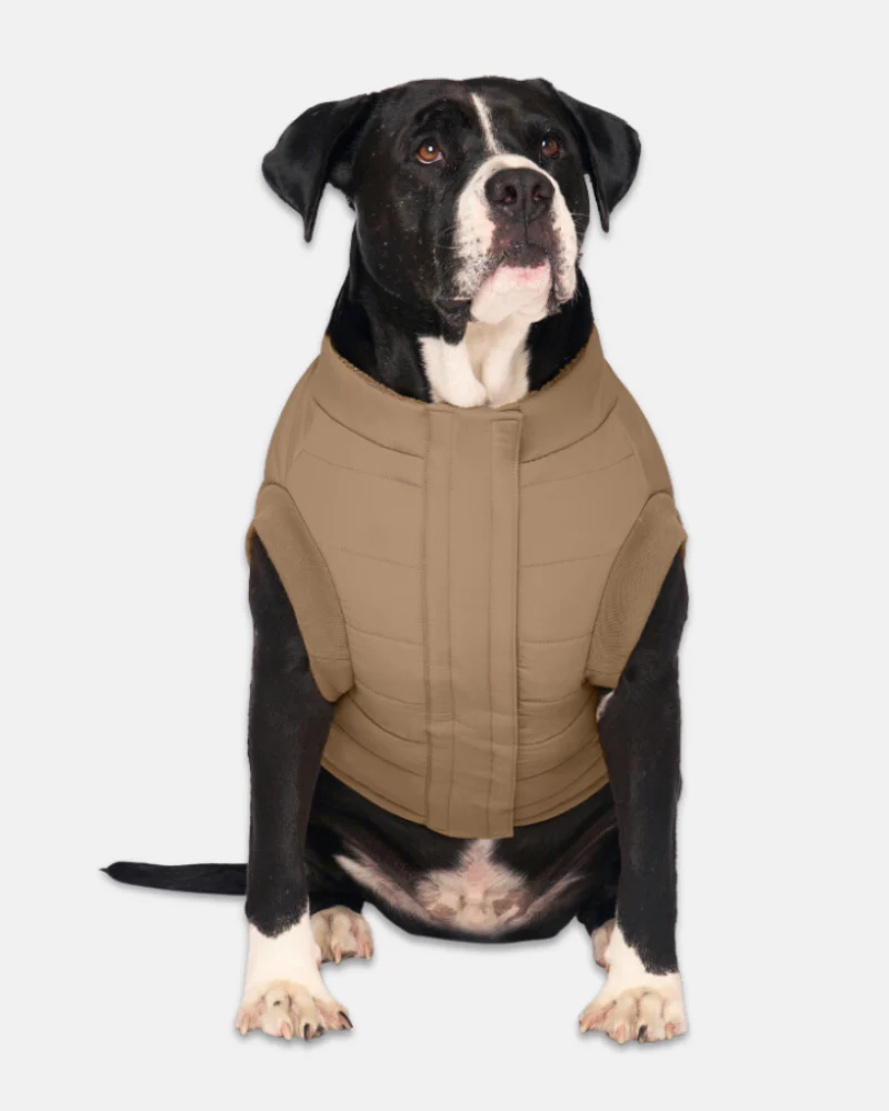 Cool Factor Dog Puffer Jacket in Tan (FINAL SALE) - Image 2