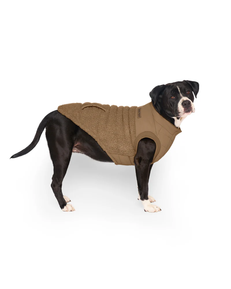 Cool Factor Dog Puffer Jacket in Tan (FINAL SALE) - Image 3