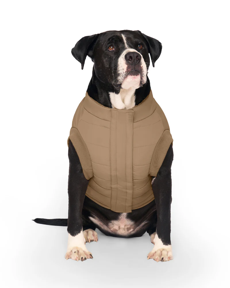 Cool Factor Dog Puffer Jacket in Tan (FINAL SALE) - Image 7