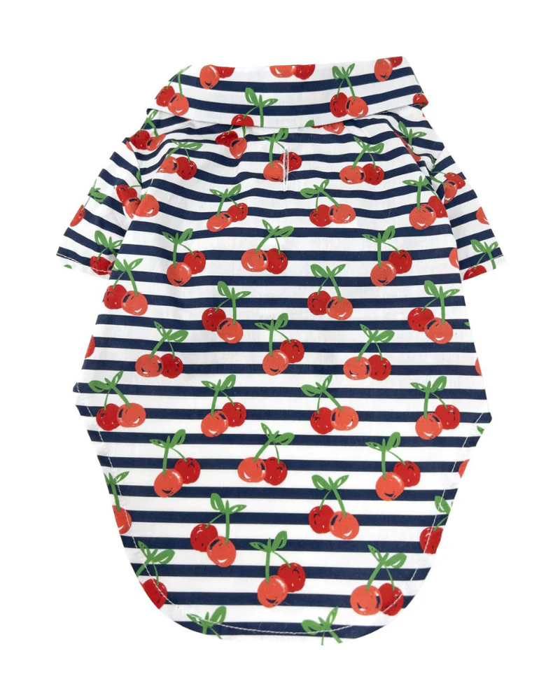 Cheerful Cherries Collared Dog Shirt (SIDEWALK SALE) - Image 2