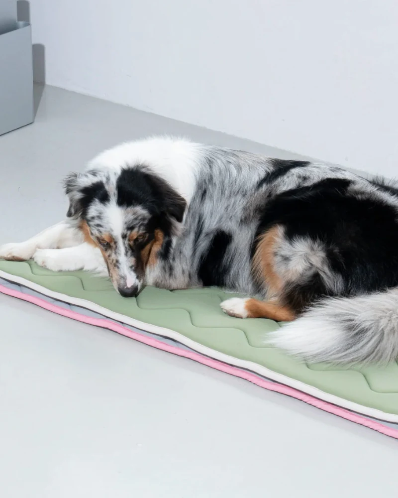Cool Wave Memory Foam Dog Mat - Image 2