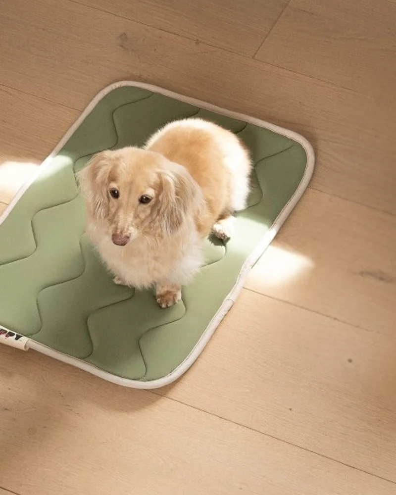 Cool Wave Memory Foam Dog Mat - Image 3