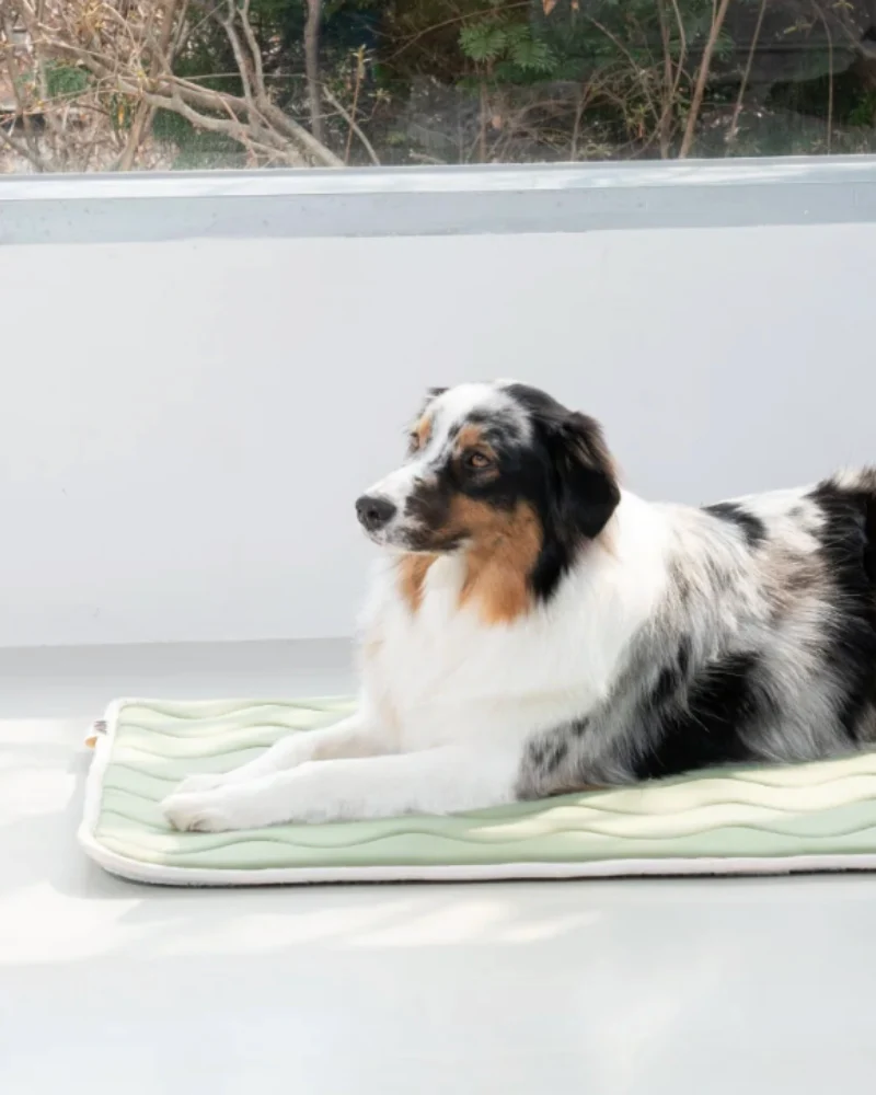 Cool Wave Memory Foam Dog Mat - Image 6