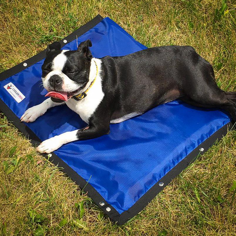 COOLER DOG | Turbo Cooling Mat - Image 4