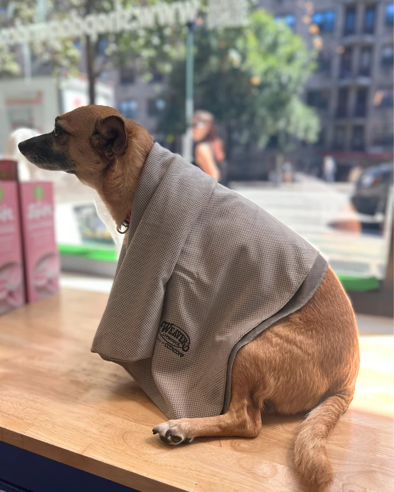 Cooling Dog Towel (24"x36") (FINAL SALE) - Image 2