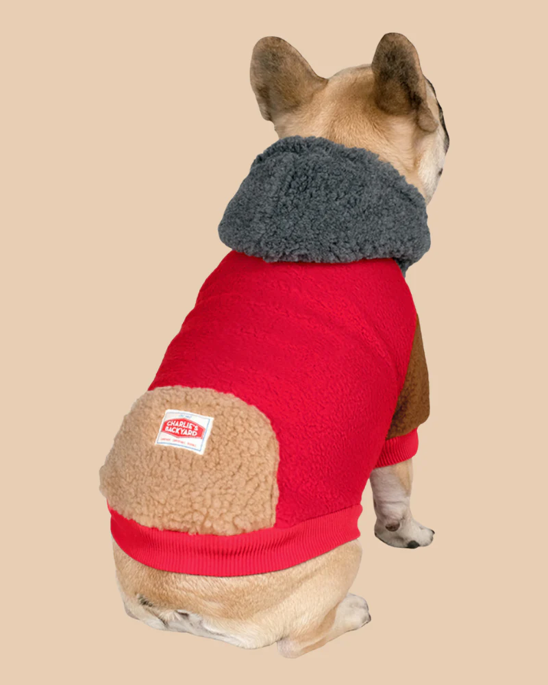 Cooper Plush Fleece Dog Hoodie in Red << FINAL SALE >> - Image 2