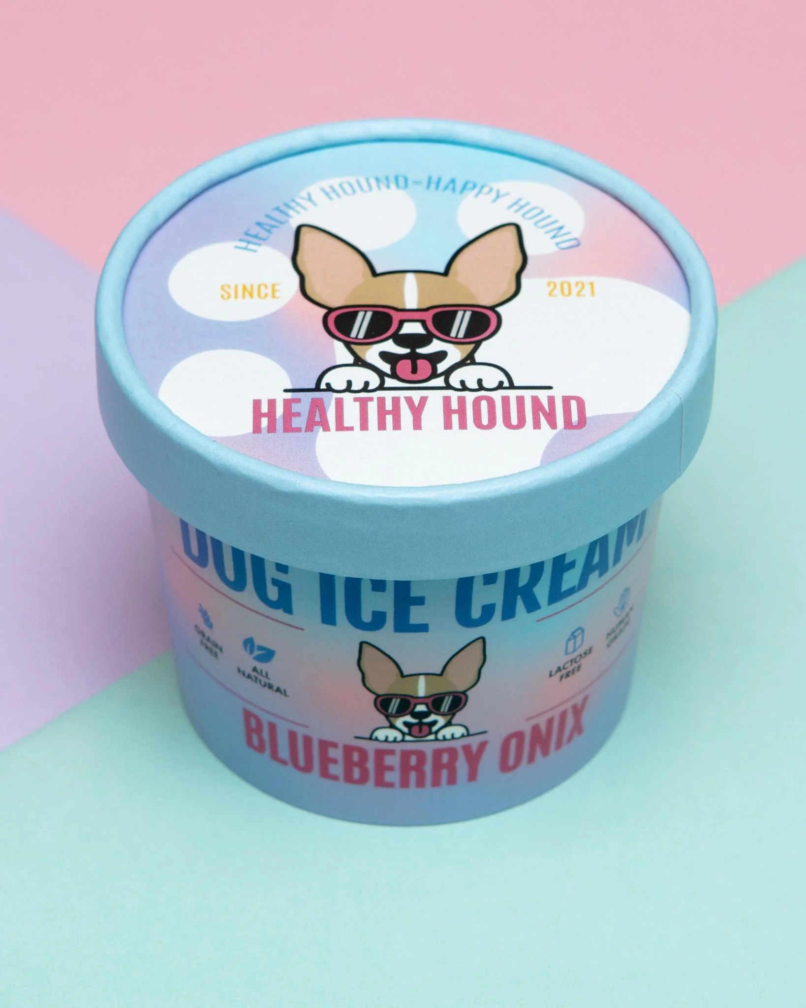 Blueberry Onix Human Grade Dog Ice Cream Mix (Lactose-Free) - Image 2