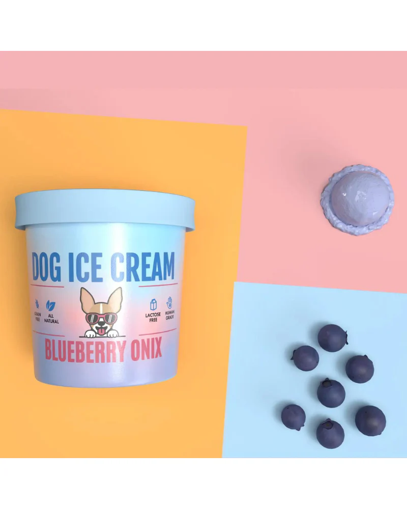 Blueberry Onix Human Grade Dog Ice Cream Mix (Lactose-Free) - Image 5