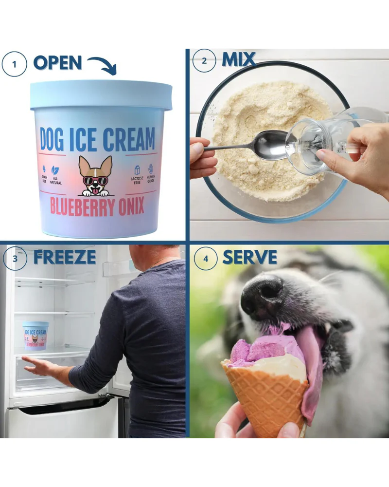 Blueberry Onix Human Grade Dog Ice Cream Mix (Lactose-Free) - Image 7
