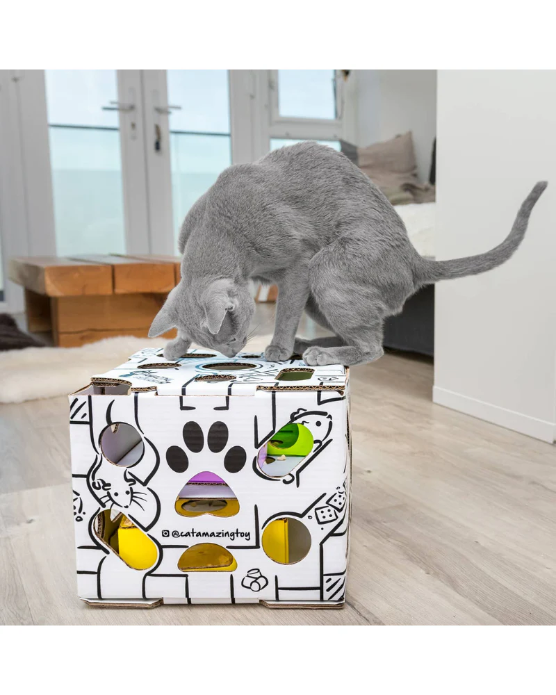 Sliders Puzzle Cat Toy << FINAL SALE >> - Image 3