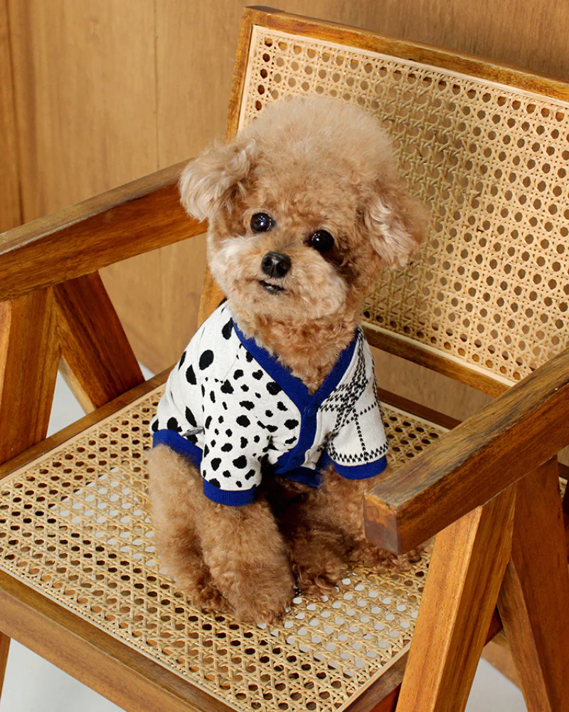 Dalmatian Dot Cardigan for Dogs (FINAL SALE) - Image 5