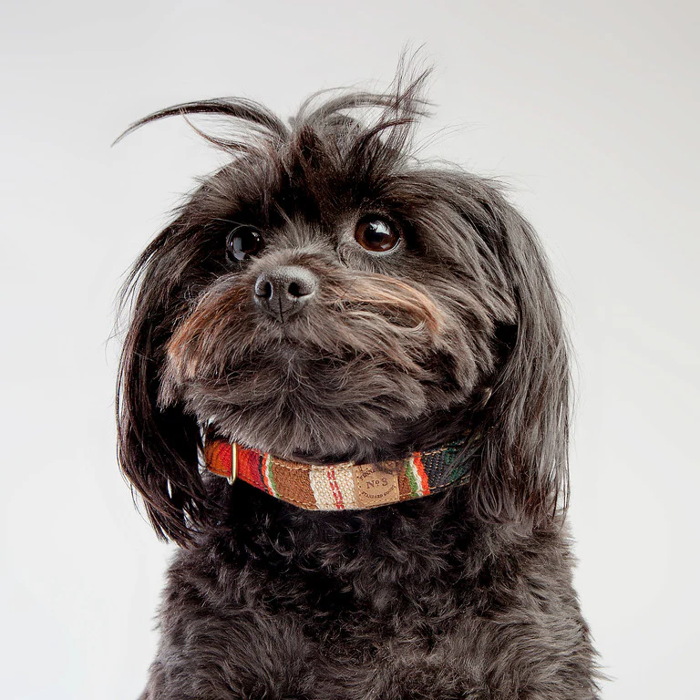 FINNEGAN'S STANDARD GOODS | Sunset Collar - Image 2