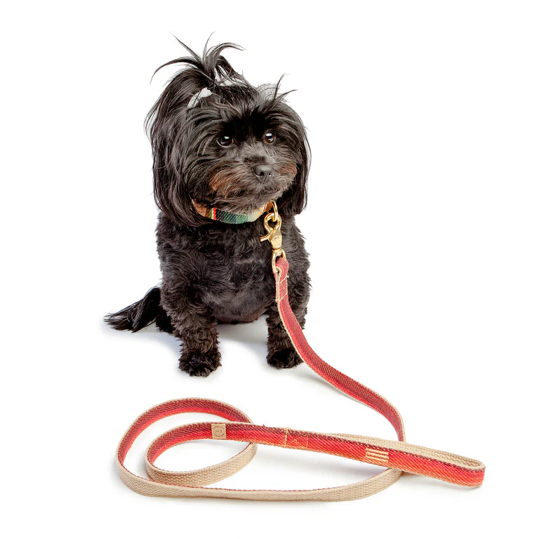 FINNEGAN'S STANDARD GOODS | Sunset Collar - Image 3