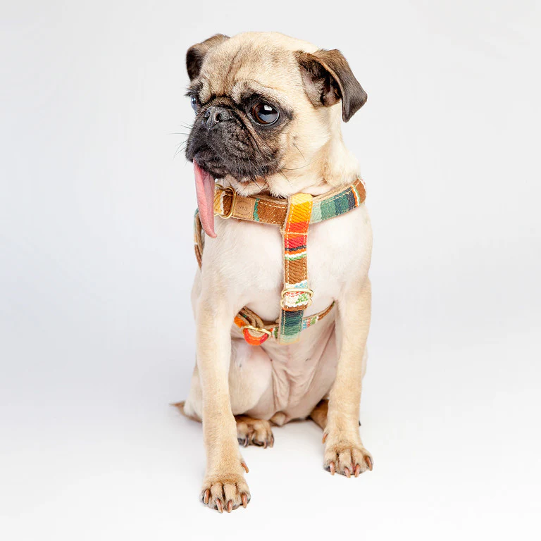 FINNEGAN'S STANDARD GOODS | Sunset Harness