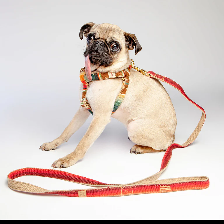 FINNEGAN'S STANDARD GOODS | Sunset Harness - Image 3