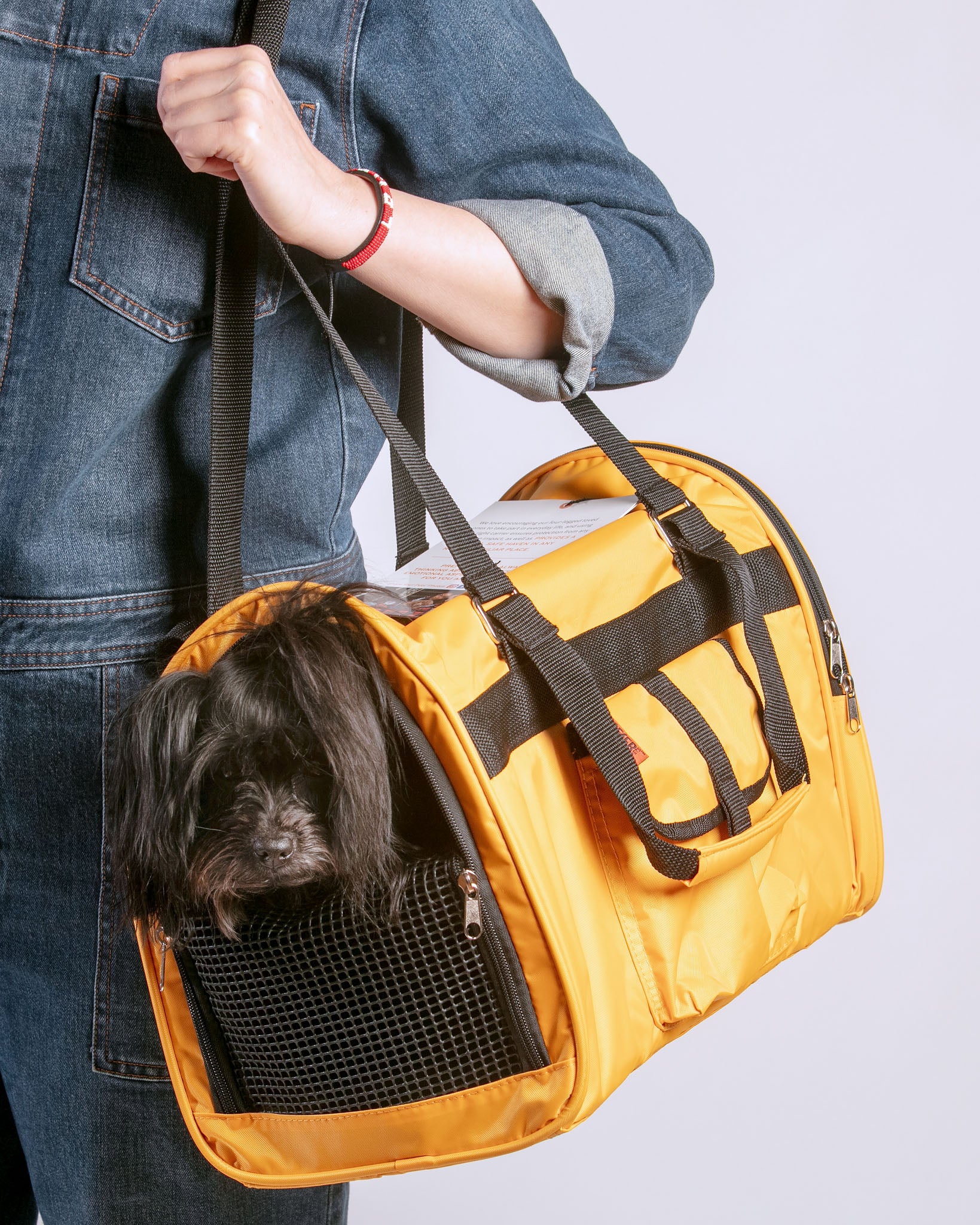 Jet Carrier Pet Carrier in Tangerine (Airline Approved) - Image 2