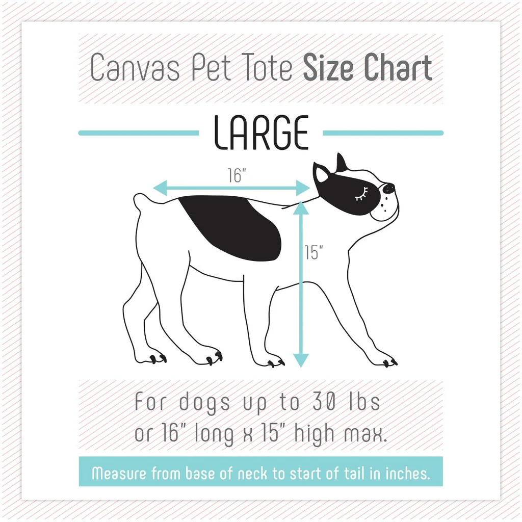 Canvas Pet Tote in Light Grey & Navy (Made in the USA) (Direct Ship) - Image 5