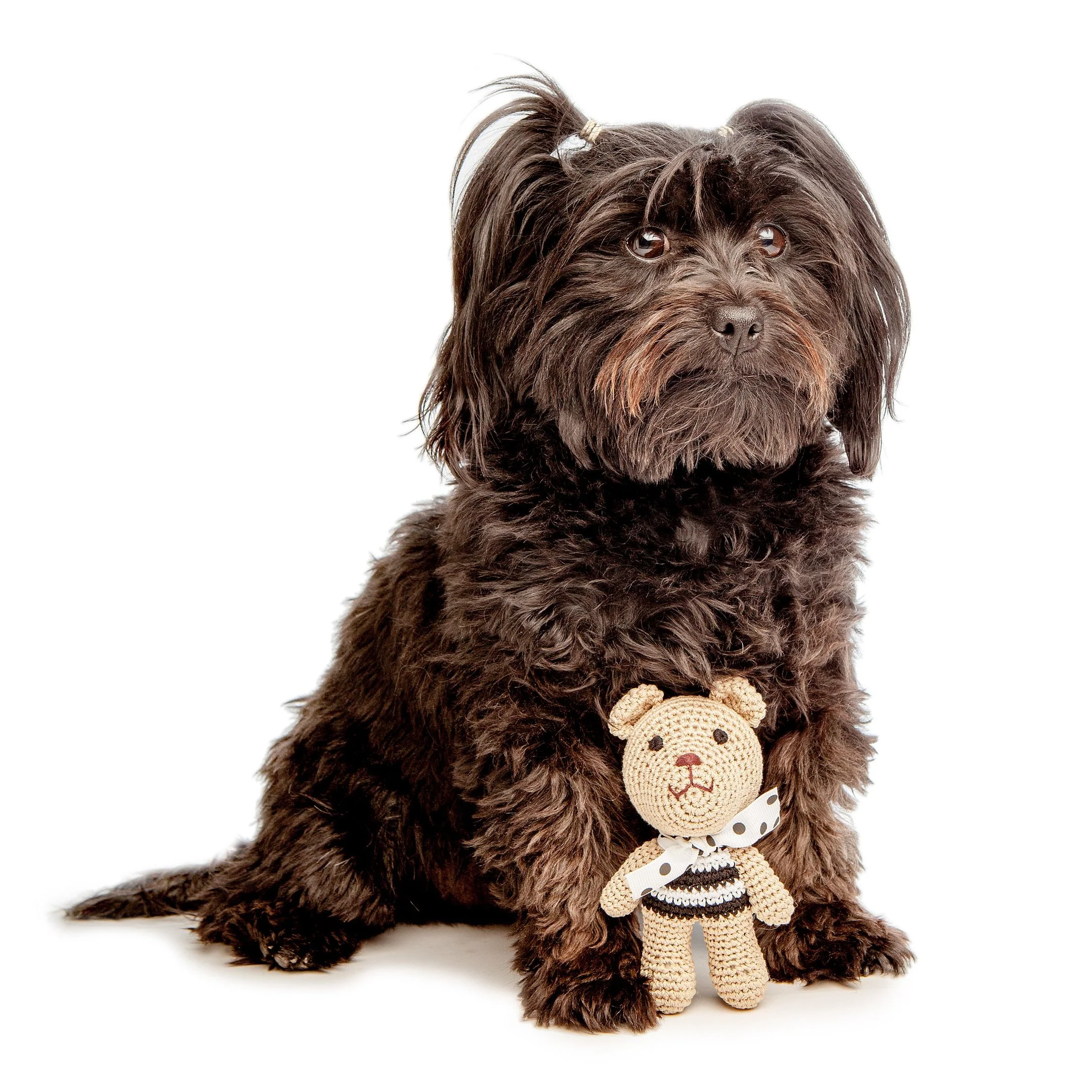 LUNA BLUE | Chewnel Bear Toy - Image 2