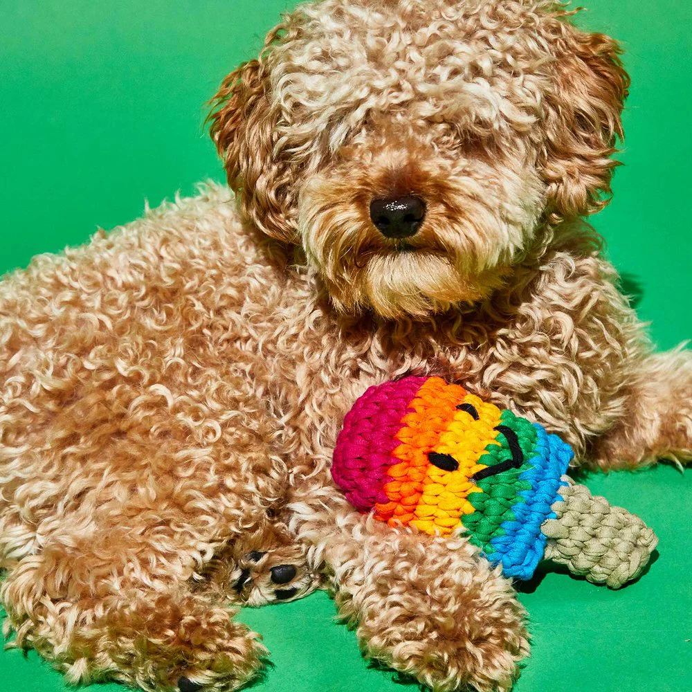 WARE of the DOG | Crochet Popsicle Toy - Image 3