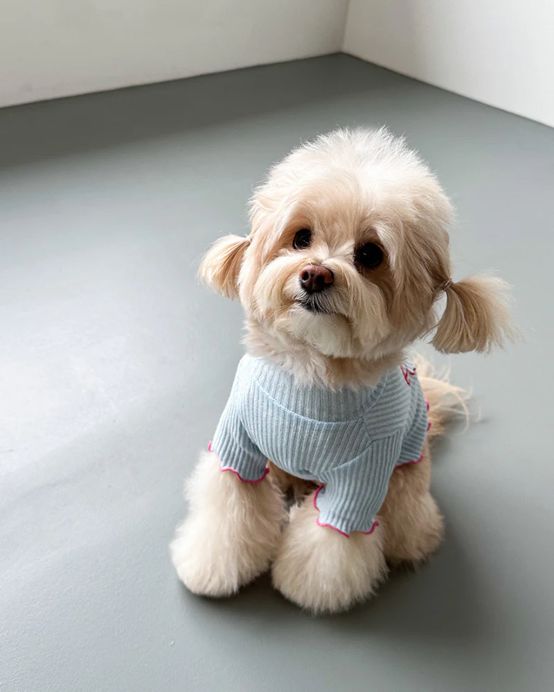 Coquette Bow Dog T-Shirt - Image 5
