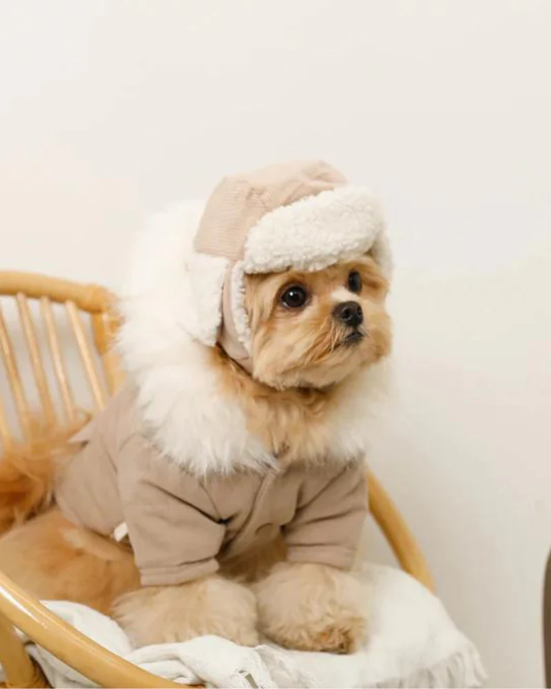 Corduroy Pet Flight Cap - Image 2