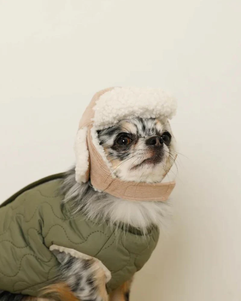 Corduroy Pet Flight Cap - Image 3