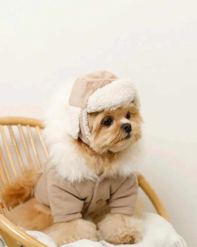 Corduroy Pet Flight Cap - Image 4