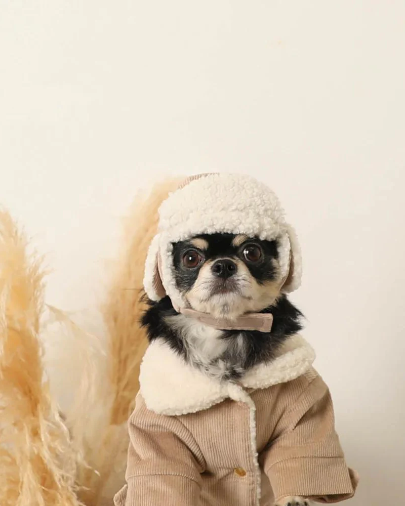 Corduroy Pet Flight Cap - Image 5