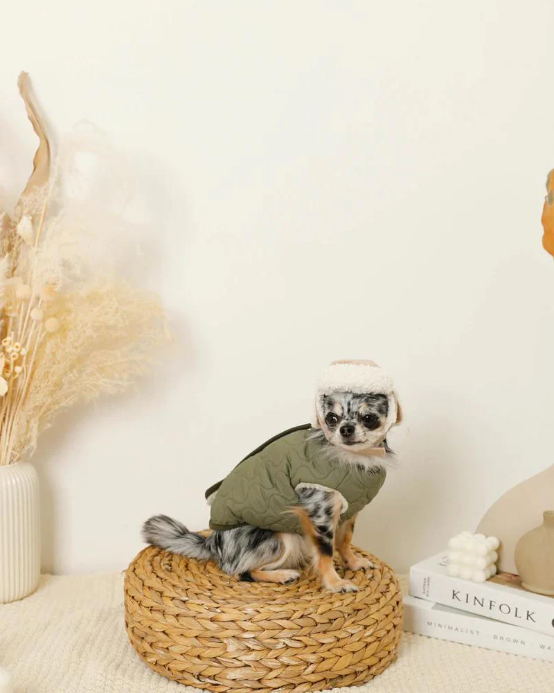Corduroy Pet Flight Cap - Image 7