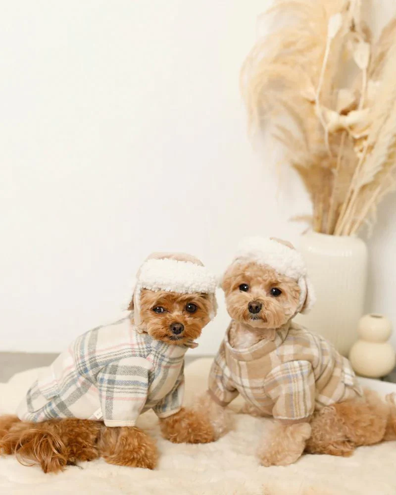 Corduroy Pet Flight Cap - Image 9