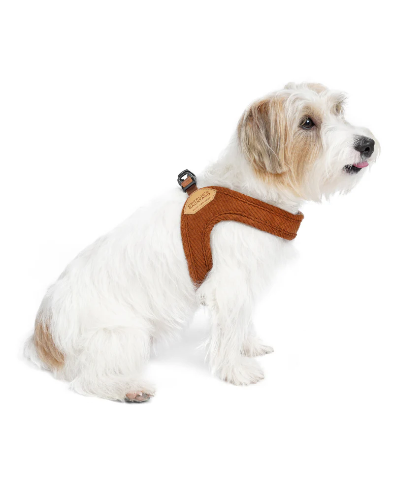 "Roy" Corduroy Buckle Up Easy Dog Harness in Caramel - Image 2